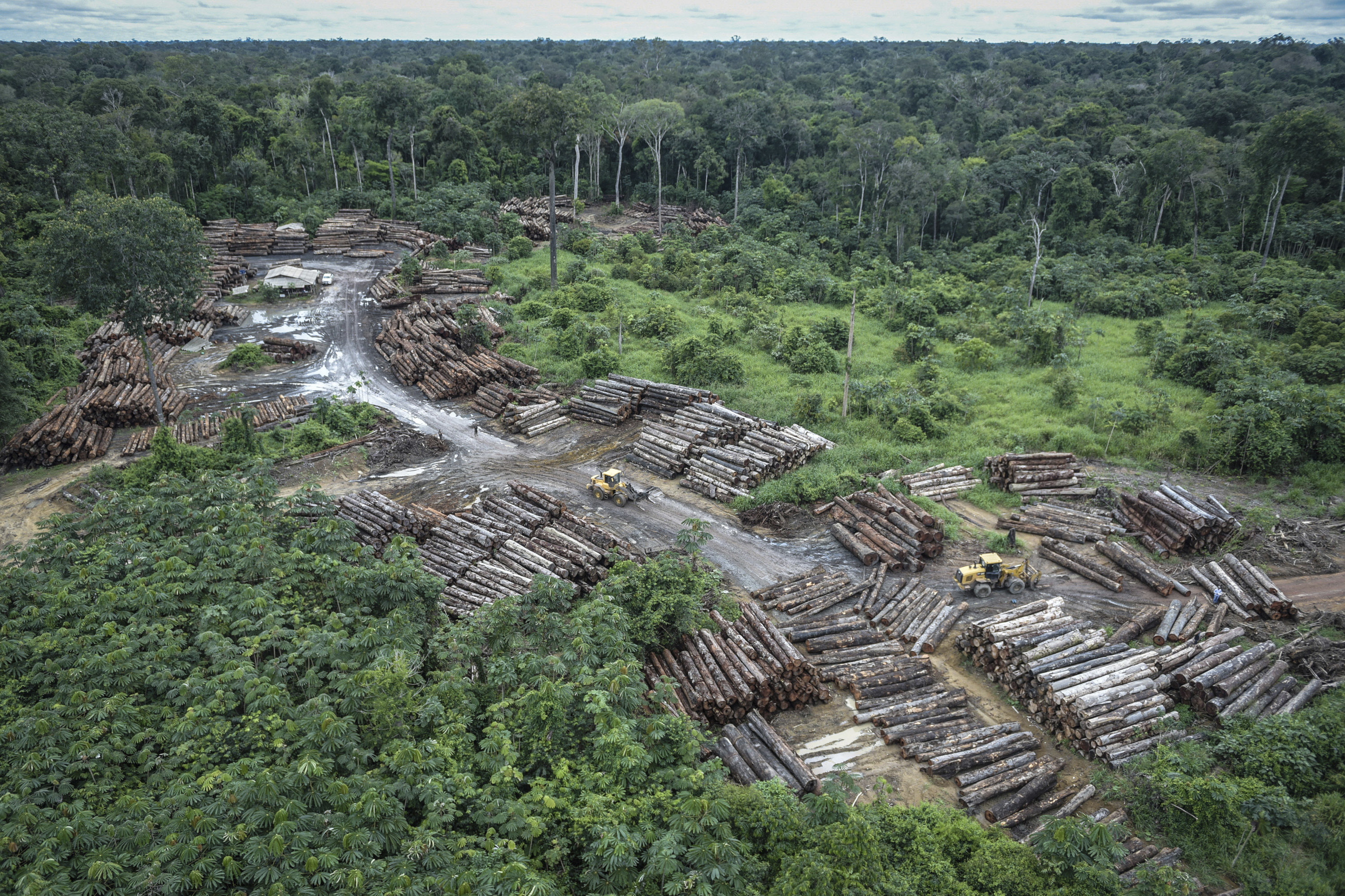 Illegal logging in the Amazon territory of the isolated Pirititi people of Brazil. Fueled by worldwide demand for foodstuffs such as beef and soybeans, especially by consumers in the U.S. and China, powerful agribusiness firms have increasingly demanded access to clear Amazon forests for pasturing and crops. In many cases they illegally extract timber from previously protected areas. The effects of the loss of tree cover extend far beyond Brazil. The Amazon rainforest absorbs one fourth of the carbon dioxide absorbed by all of earth’s land masses. Due to deforestation, the amount absorbed in 2022 was 30 percent less than it was in the 1990s.