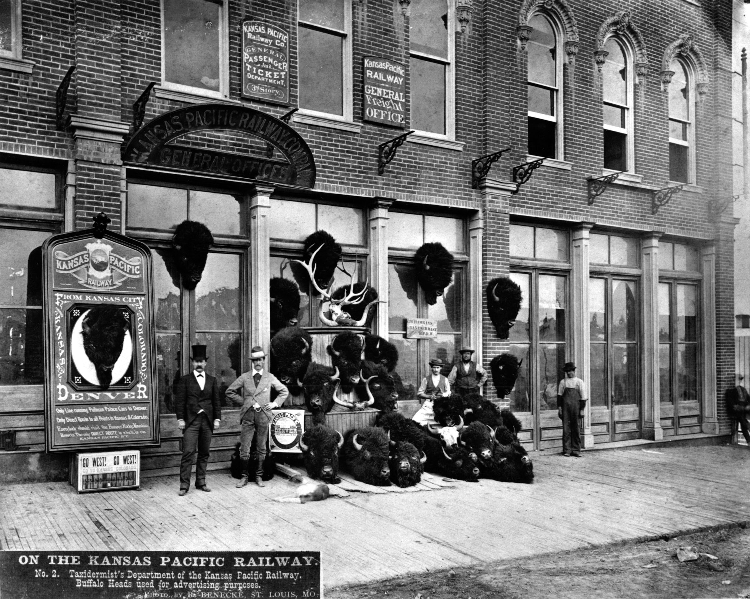 One of the short-lived attractions of western railroad travel was the opportunity to join a buffalo hunt—often without having to leave the comfort of the railroad carriage. In this 1870 promotional photograph, the official taxidermist displayed his wares outside of the Kansas Pacific Railroad’s general offices.