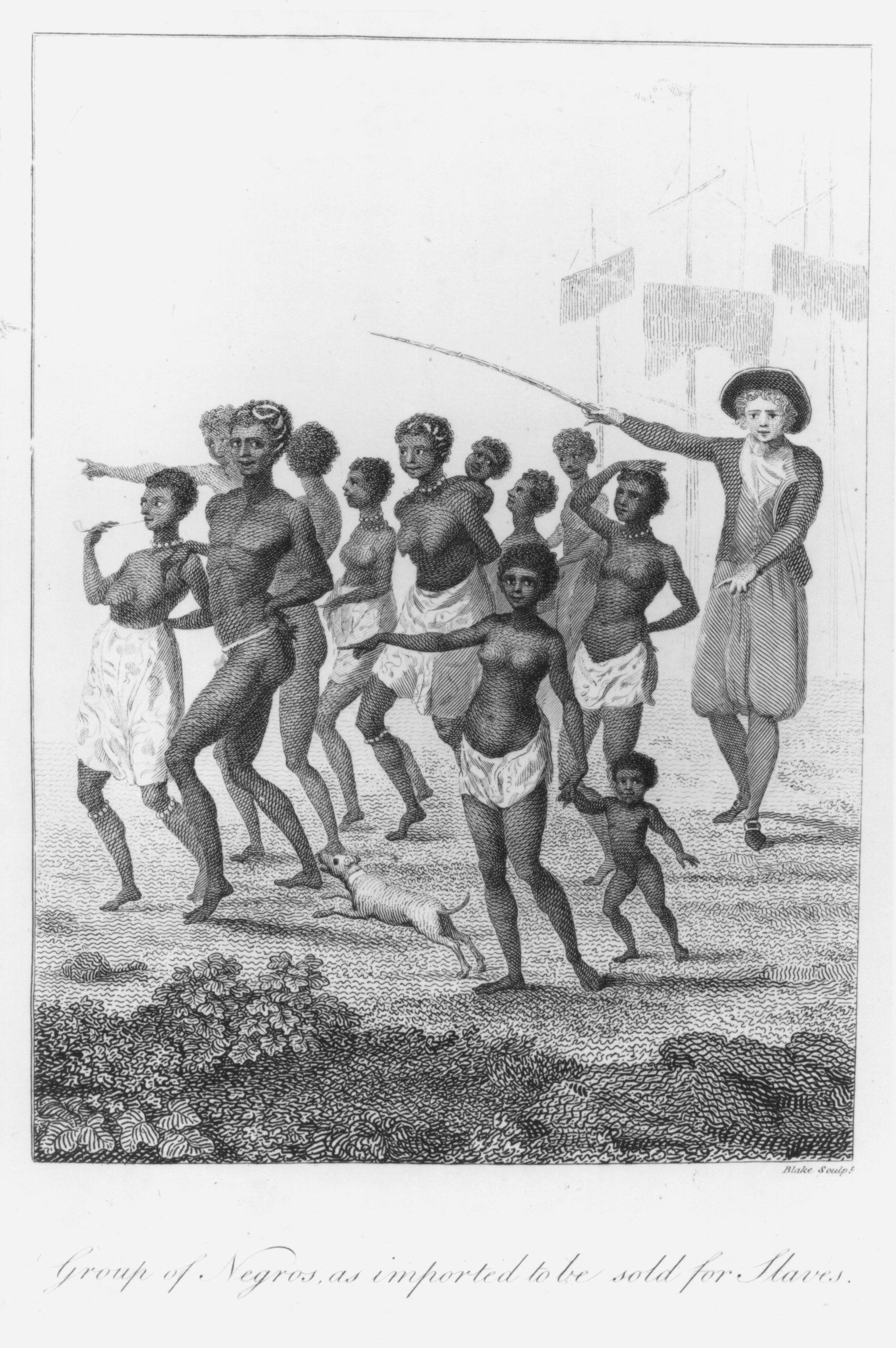 A late-eighteenth-century engraving from a British abolitionist report shows newly arrived captive Africans being driven to an auction.