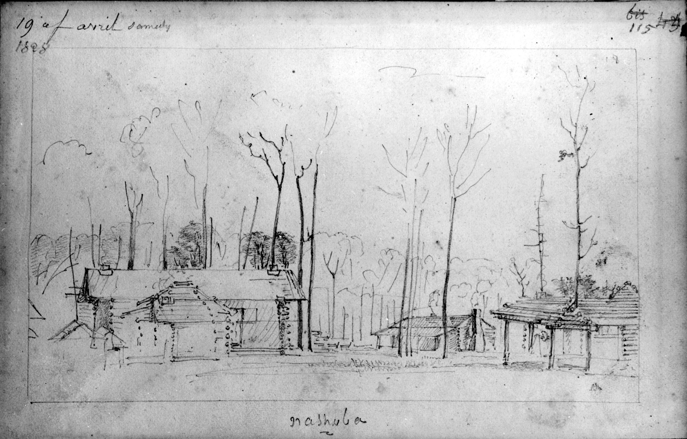 Influenced by Robert Owen and New Harmony, Frances Wright established an interracial utopian community, Nashoba, near Memphis, Tennessee. Its white and Black residents (including enslaved African Americans purchased by Wright) worked and lived together. Believing that racism could be defeated only by the “amalgamation of the races,” Wright permitted interracial sexual relationships in the Nashoba community. Even abolitionists condemned the experiment. This is a sketch by Charles-Alexandre Lesueur, a French artist-naturalist who spent ten years at New Harmony.