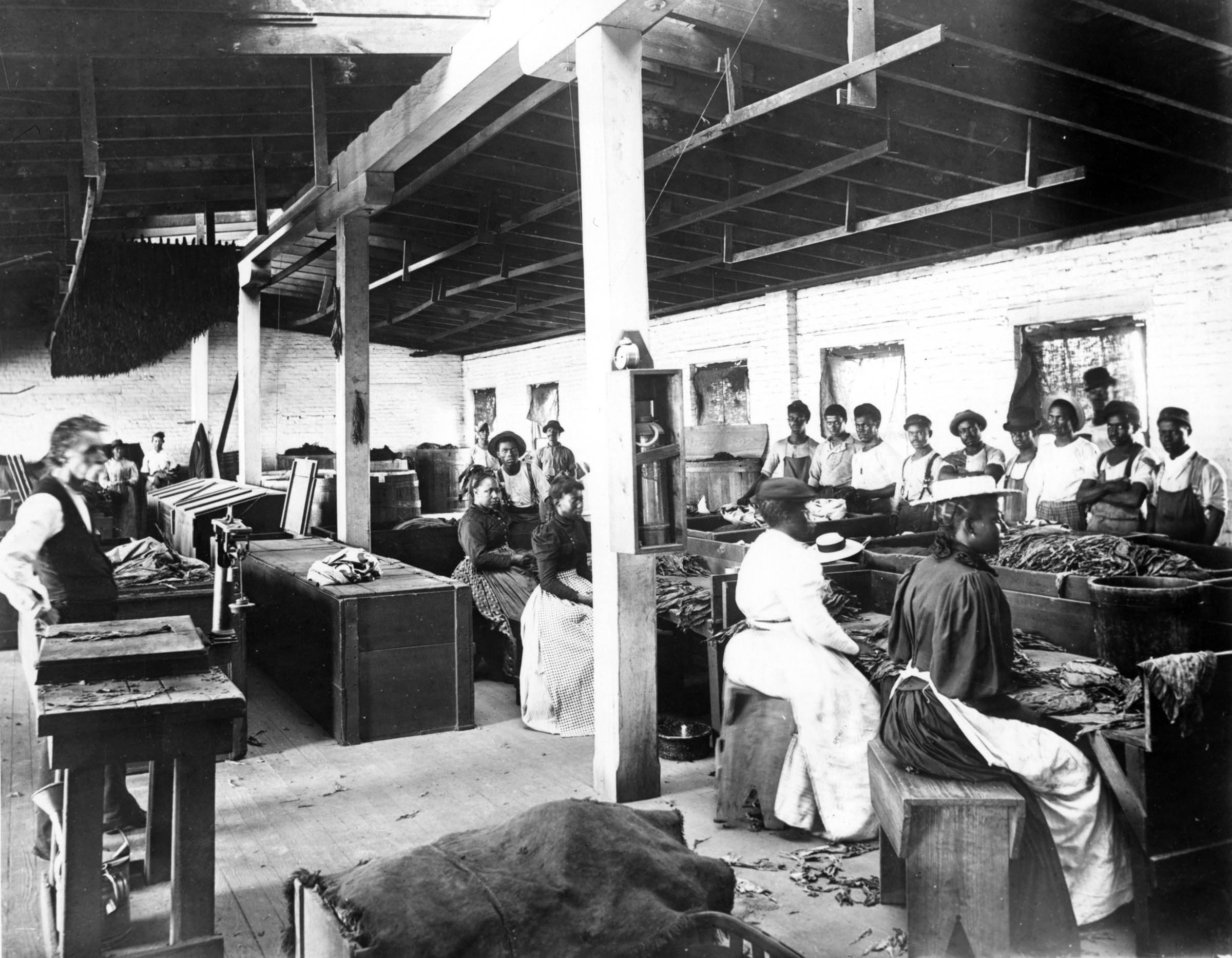 In this Richmond, Virginia, factory, women stripped tobacco stems from leaves. As in most southern industries, Black workers labored separately from white workers and were relegated to the lowest-paying and least-skilled jobs.