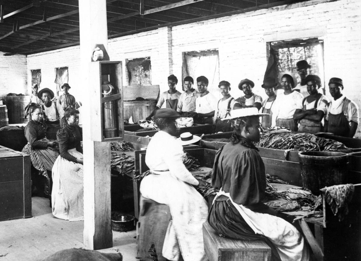 In this Richmond, Virginia, factory, women stripped tobacco stems from leaves. As in most southern industries, Black workers labored separately from white workers and were relegated to the lowest-paying and least-skilled jobs.