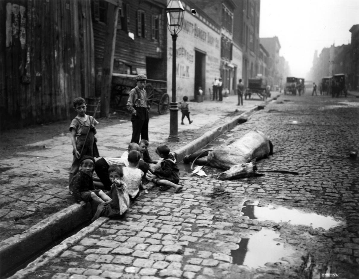 Around 1900, a photographer captured the unwholesome combination of children’s play, open street sewers, and a dead horse in a New York street. Such scenes prompted reformers to campaign for better sanitation in U.S. cities.