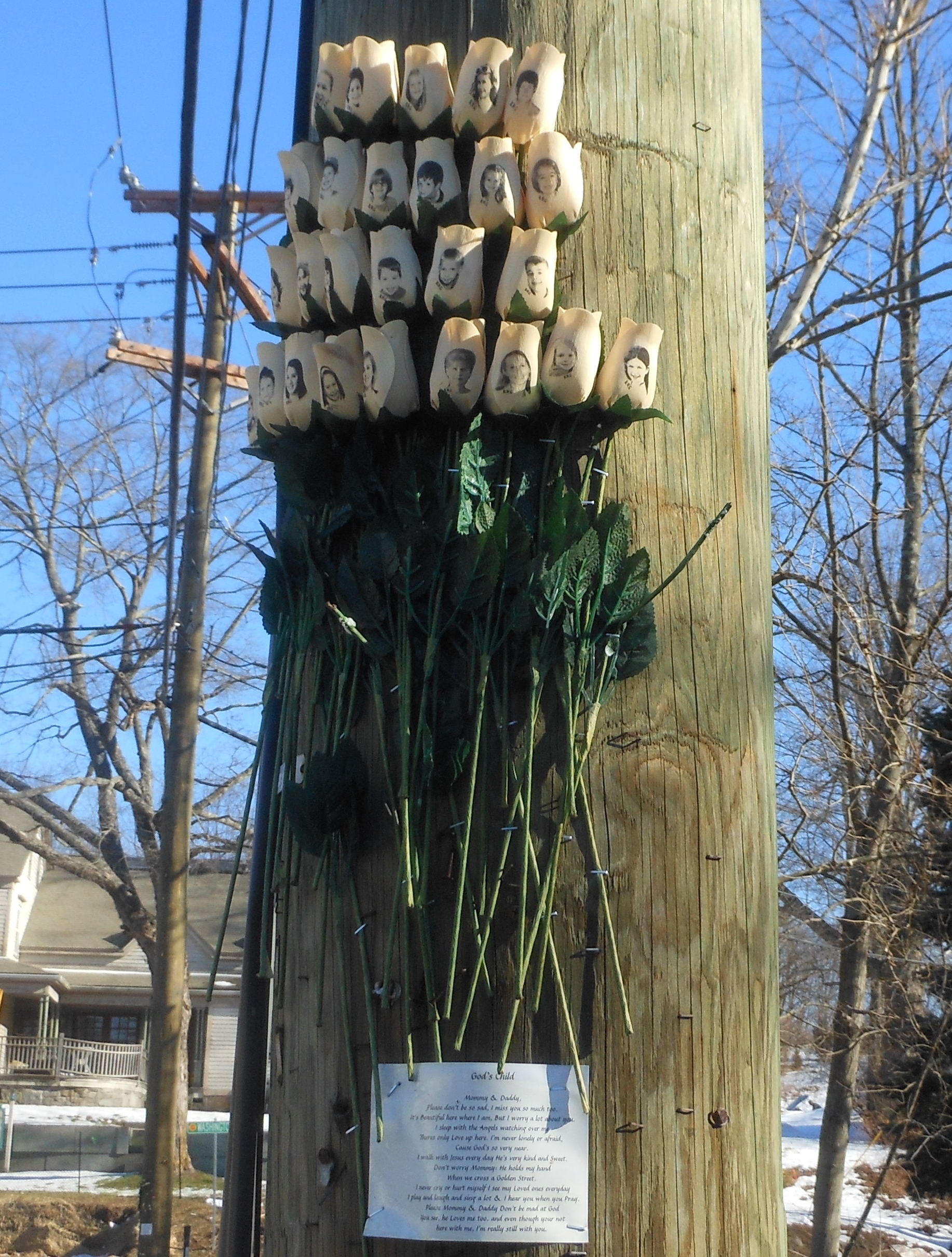 A rose memorial for the victims of one of the deadliest mass shootings in U.S. history. On the morning of December 14, 2012, a young man, armed with an AR-15 semi-automatic rifle and three hundred rounds of ammunition entered the Sandy Hook Elementary School in Newtown, Connecticut, and killed 26 people, 20 of them ages six to seven years old. There were 85 mass shootings in the United States from 2007 to 2016 that claimed the lives of 378 people and injured 365. Those deaths included 32 murdered in a shooting rampage at Virginia Tech University in April 2007; 12 deaths in an Aurora, Colorado, movie theater in July 2012; 9 killed in a historic Black church in Charleston, South Carolina, in June 2015; and 49 massacred in an Orlando, Florida, nightclub in June 2016—the deadliest mass shooting in U.S. history.