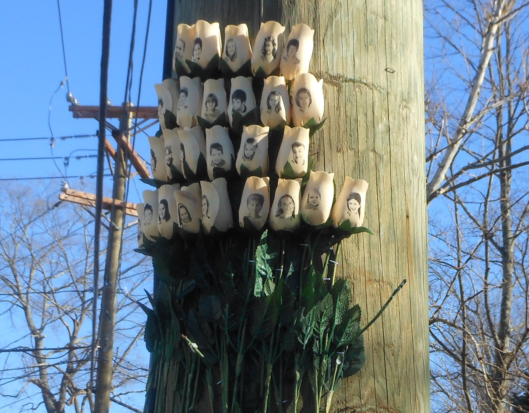 A rose memorial for the victims of one of the deadliest mass shootings in U.S. history. On the morning of December 14, 2012, a young man, armed with an AR-15 semi-automatic rifle and three hundred rounds of ammunition entered the Sandy Hook Elementary School in Newtown, Connecticut, and killed 26 people, 20 of them ages six to seven years old. There were 85 mass shootings in the United States from 2007 to 2016 that claimed the lives of 378 people and injured 365. Those deaths included 32 murdered in a shooting rampage at Virginia Tech University in April 2007; 12 deaths in an Aurora, Colorado, movie theater in July 2012; 9 killed in a historic Black church in Charleston, South Carolina, in June 2015; and 49 massacred in an Orlando, Florida, nightclub in June 2016—the deadliest mass shooting in U.S. history.